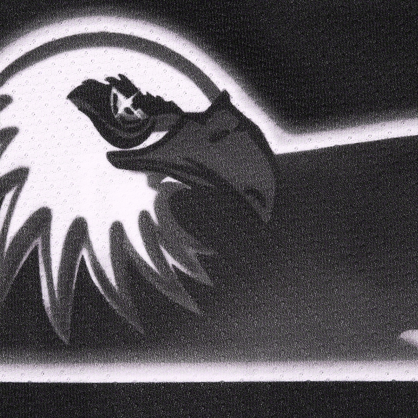 Eagle Hockey Jersey view 12